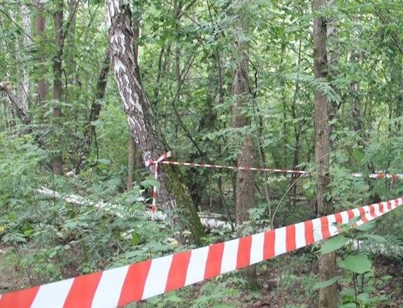 Під час збирання грибів на Львівщині помер чоловік