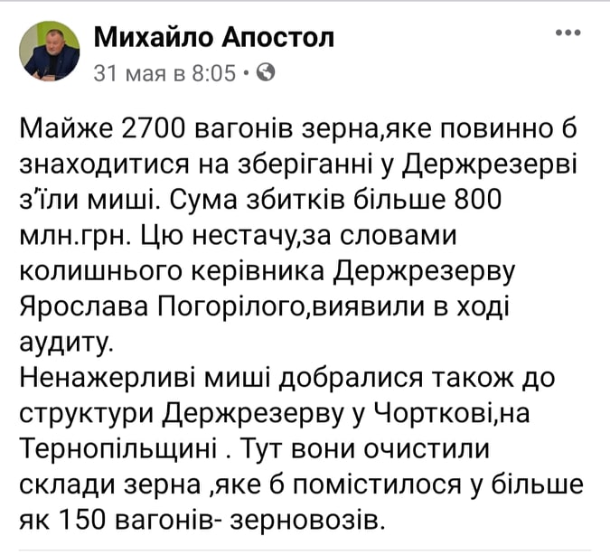 Ненажерливі гризуни ображають Україну. Зникле зерно виявили під час аудиту