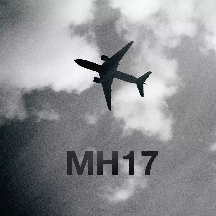 Річниця катастрофи MH17: хроніка подій очима рятувальників. Відео