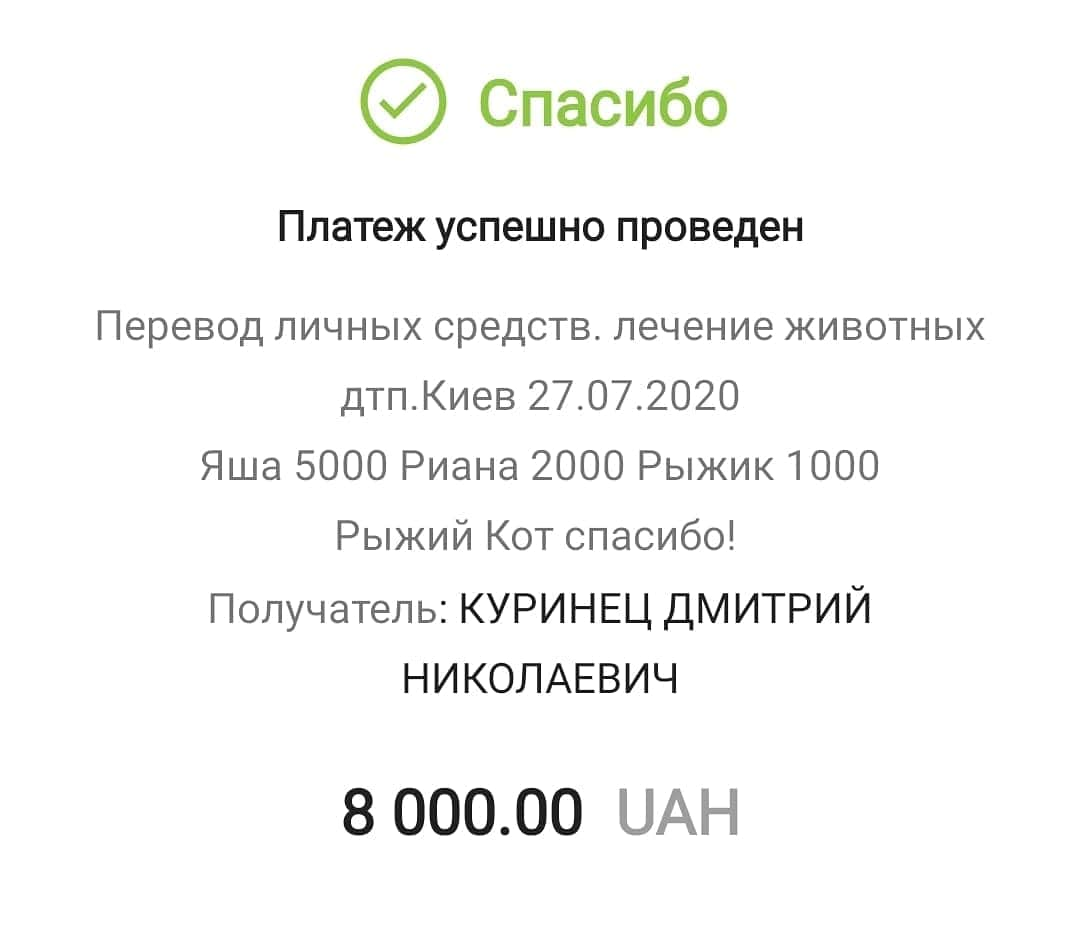 Все наши животные живы: алмаз выписан, Борю пока никто не хочет, Яша с Яготина лучше